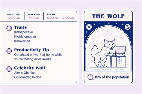 How To Find Your Chronotype To Improve Your Sleep and Productivity | Casper Blog