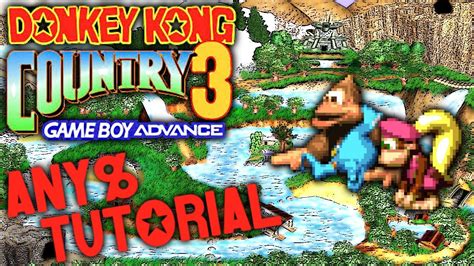 Donkey Kong Country 3 (GBA) - Any% Speedrun Tutorial - YouTube