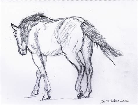 Frabjous Art Musings: Horse Sketch 44