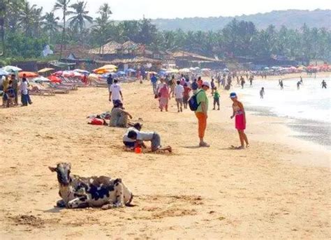 Anjuna Beach Goa – Attractions, Adventure, Water Sports, Activities ...