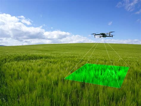 New drone technology revolutionises crop walking - FarmingUK News