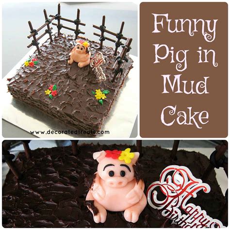 Pig In Mud Cake | Decorated Treats