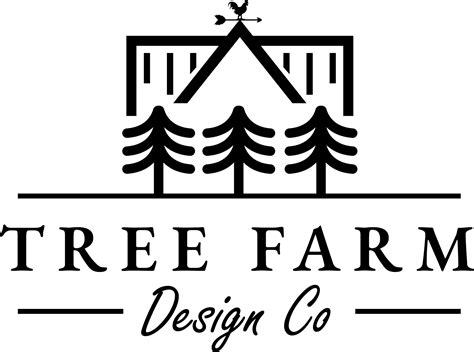 How to Make an Oil Pie Crust » Tree Farm Design Co.