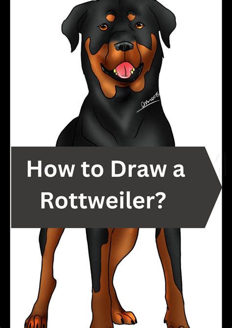 How to Draw a Rottweiler? 16 Easy Steps in 2023 | Rottweiler ...