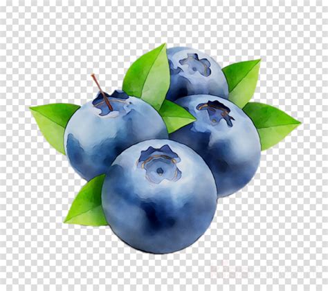 Download High Quality blueberry clipart blue Transparent PNG Images - Art Prim clip arts 2019