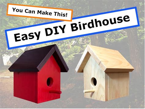 Simple Bird House Plans & Instructions Super Easy DIY Nature - Etsy