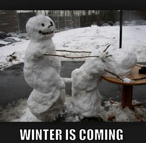 Winter is coming - Meme by soydolphin :) Memedroid