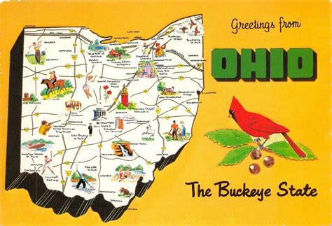 Greetings from Ohio Landmark State Map A02 | The buckeye state, Buckeye, City postcard