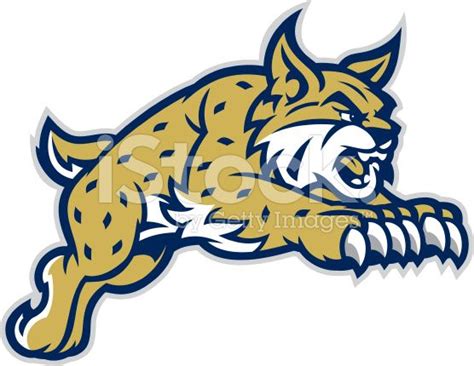 This leaping Bobcat mascot is great for any school based design. | Cat vector, Mascot, Free ...