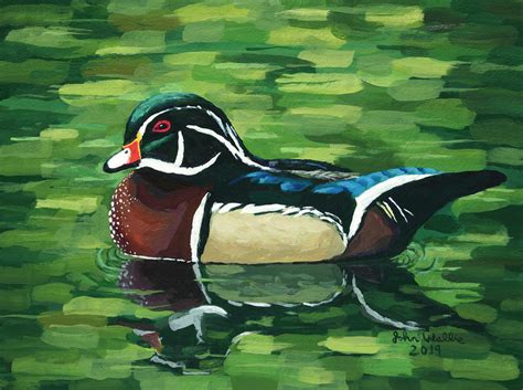 Wood Duck Painting by John Wallie - Fine Art America