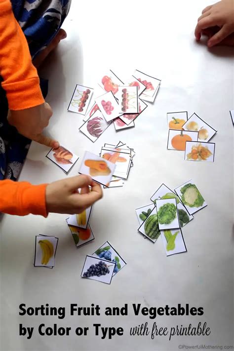 Sorting Fruit and Vegetables by Color (with free printable)