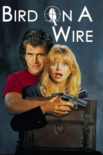 Bird On A Wire movie review & film summary (1990) | Roger Ebert