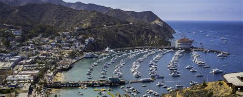 30 Amazing And Fun Facts About Avalon, California, United States - Tons ...