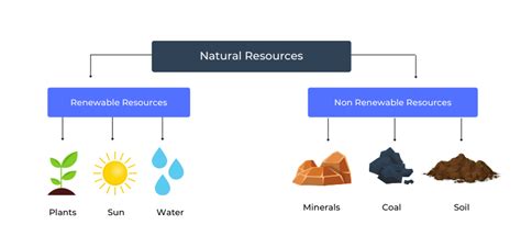 Natural Resources Definition Types And Examples - Bank2home.com