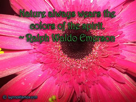 Transcendentalist Quotes About Nature. QuotesGram