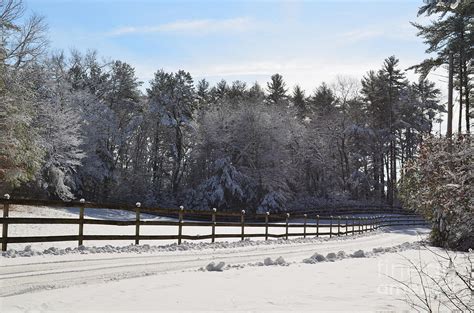 Snow in Massachusetts Photograph by DejaVu Designs - Fine Art America