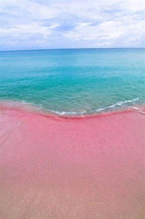 Pink Beach Bahamas Vacation Destinations, Dream Vacations, Vacation ...