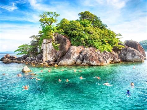 7: Snorkeling Dive into the marine life just off the coast of Thailand. Similan Diving Safaris ...