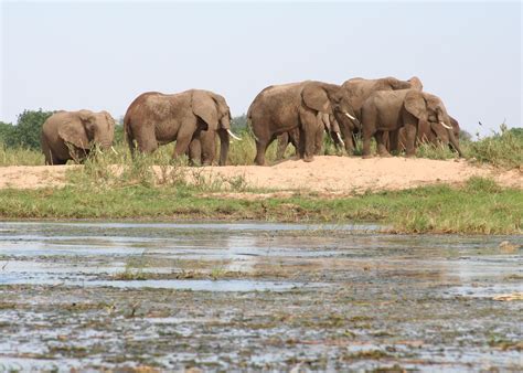 The Lower Zambezi National Park in Zambia | Audley Travel