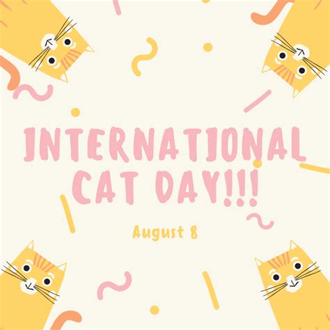 August 8 is International Cat Day! | myorthodontists.info