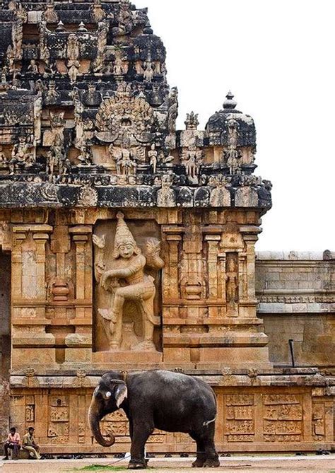 The Nicest Pictures: Tanjore temple