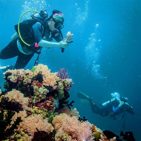 The Best Scuba Diving Spots In The Philippines – DesertDivers