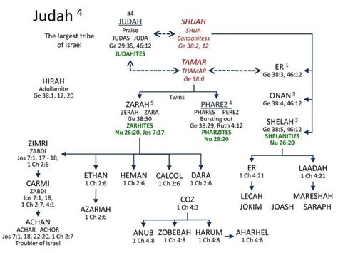 Judah Family Tree | Sons of jacob, Bible study notes, Bible study tips