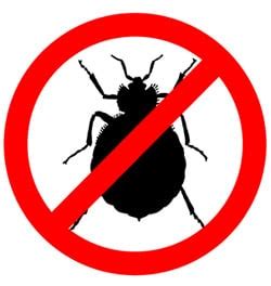 Bed Bug Prevention | Bed Bug Exterminator Phoenix AZ