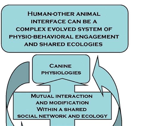 The Evolution of Human Behavior: New Approaches to the Evolution of Human Behavior