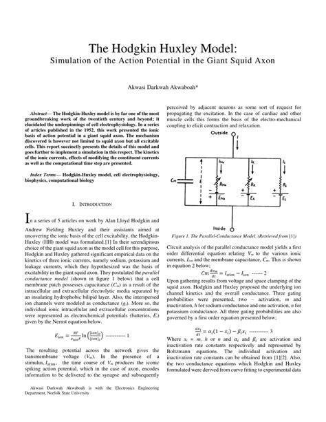 (PDF) The Hodgkin Huxley Model: Simulation of the Action Potential in the Giant Squid Axon