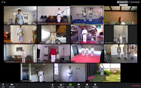 Online Karate Training