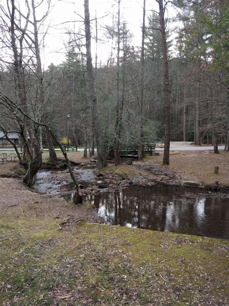 On Visiting Vogel State Park - Nate Shivar