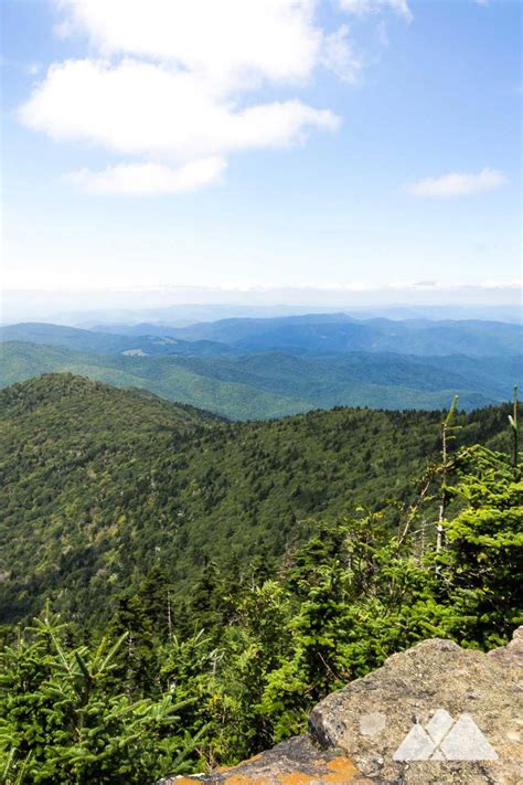 Roan High Bluff: hiking the Cloudland Trail at Roan Mountain | Pisgah ...