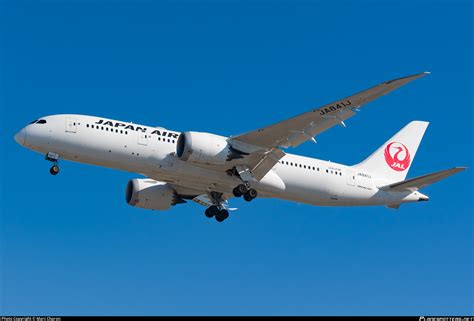 JA841J Japan Airlines Boeing 787-8 Dreamliner Photo by Marc Charon | ID 1062468 | Planespotters.net