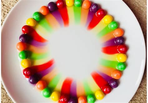 Melting skittles experiment | Rainbow crafts preschool, Skittles ...