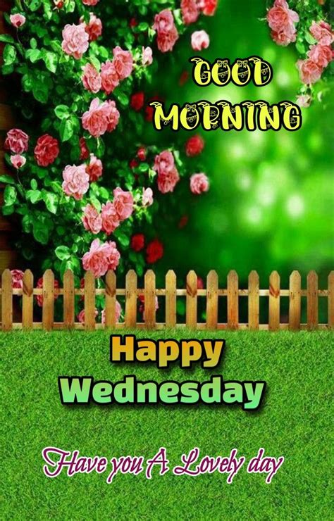 Happy Wednesday Images, Wednesday Morning Greetings, Wednesday Quotes, Good Morning Flowers Gif ...