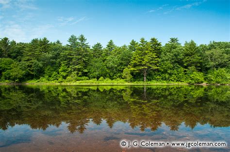 Mansfield Hollow – J. G. Coleman Photography