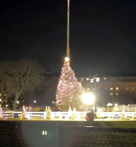 National Christmas Tree toppled by wind outside White House