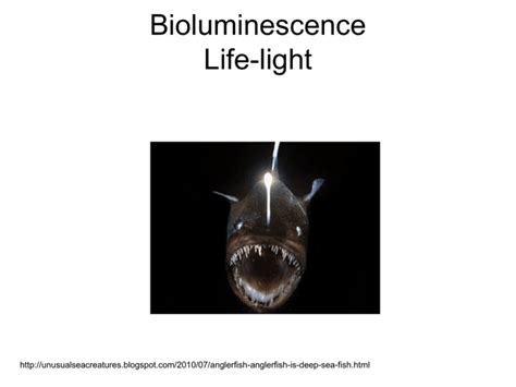 Bioluminescence