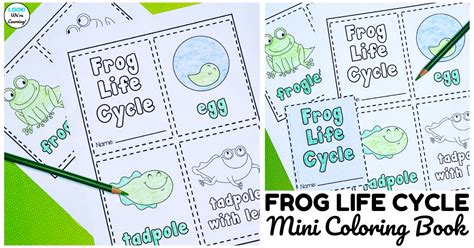 Printable Mini Frog Life Cycle Book for Kids - Look! We're Learning!