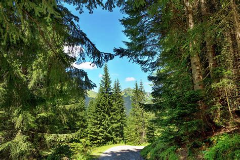 Bavarian Alps, Germany Photograph by Nikada - Fine Art America