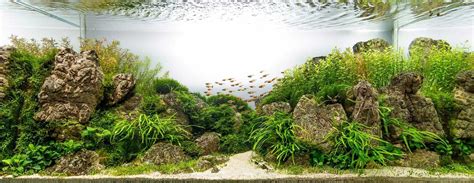 Top 5 Best Aquarium Gravels: [An In-Depth Review With Buyer’s Guide]