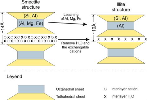 Schematic illustration of the proposed mechanisms for smectite ...