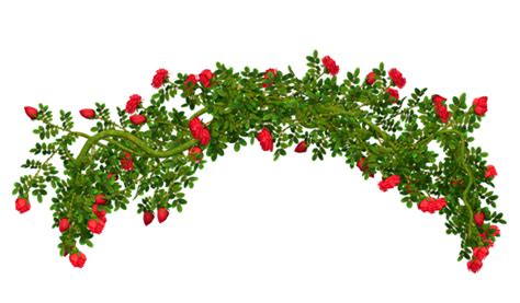 Flower arch png, Flower arch png Transparent FREE for download on ...