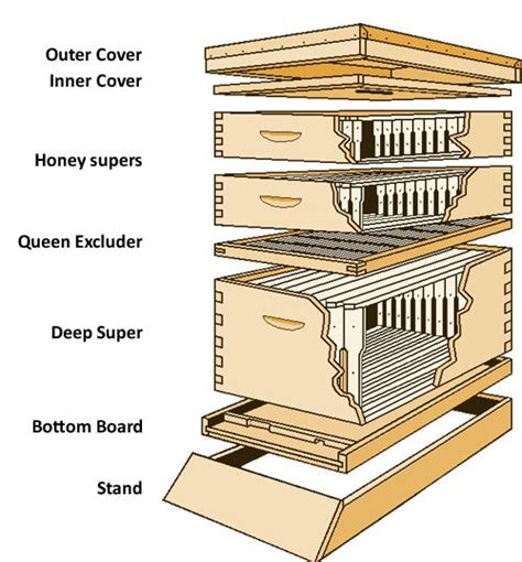 Langstroth Bee Hive Plans - WoodWorking Projects & Plans