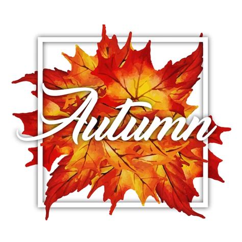 Premium Vector | Autumn logo collection