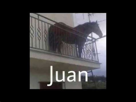 JUAN MEME | Juan / Horse On Balcony | Know Your Meme