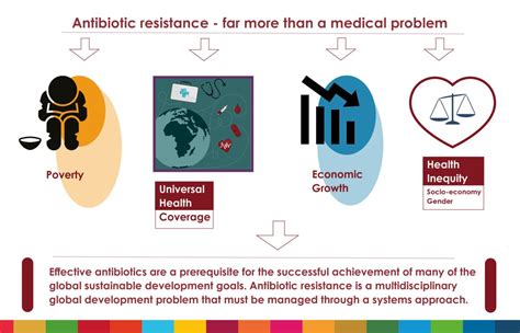 Antibiotic resistance – far more than a medical problem – 2021 – ReAct