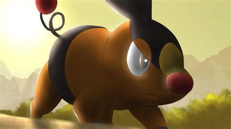 Tepig by All0412 on DeviantArt