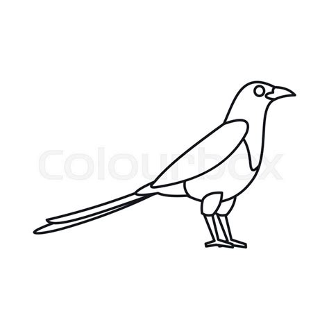 Bird magpie icon in outline style ... | Stock vector | Colourbox